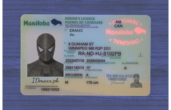 Manitoba ID (2026 Version)