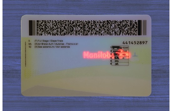 Manitoba ID (2026 Version)