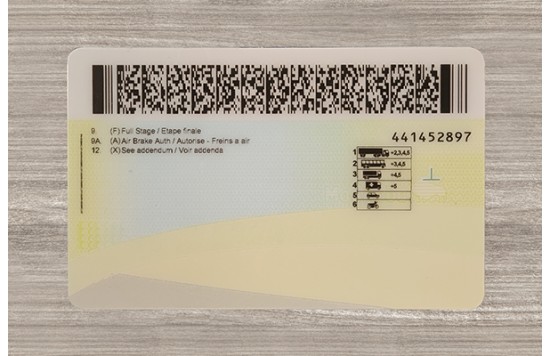 Manitoba ID (2026 Version)