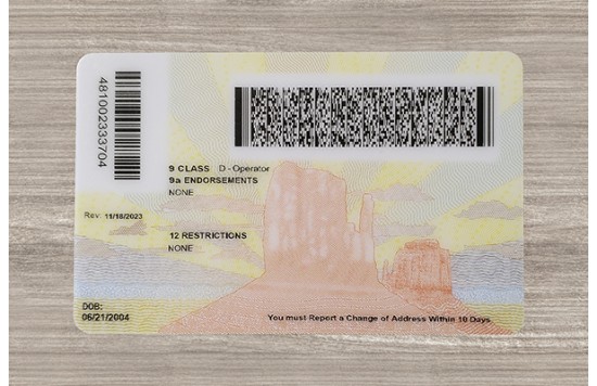 Arizona Fake id front side