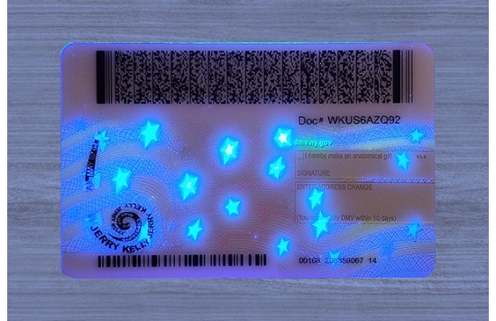 New York Dirvers Licence (2025 Version)