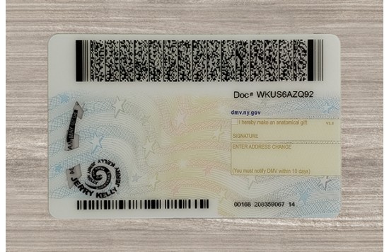 New York Dirvers Licence (2025 Version)
