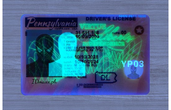 Pennsylvania Dirvers Licence (2025 Version)