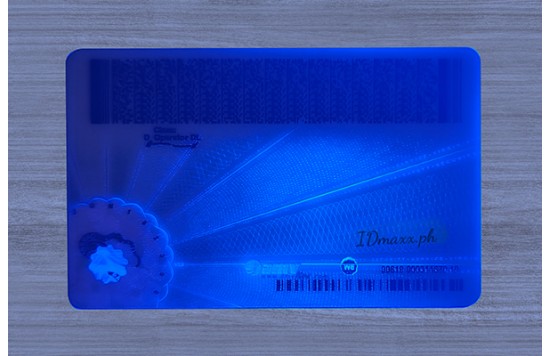 Virginia Dirvers Licence (2025 Version)