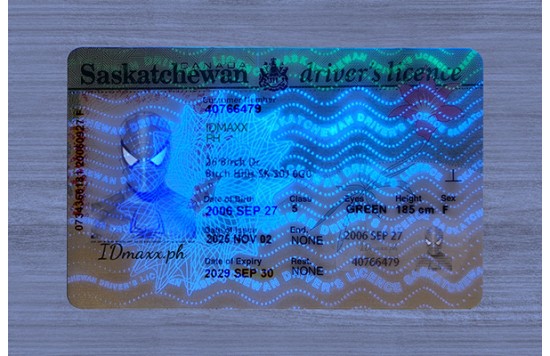 Saskatchewan Dirvers Licence
