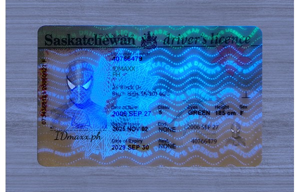 Saskatchewan Dirvers Licence