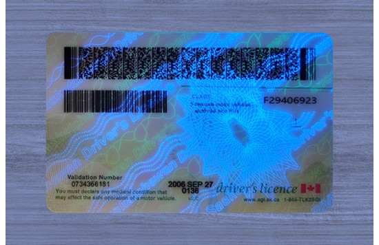 Saskatchewan Dirvers Licence
