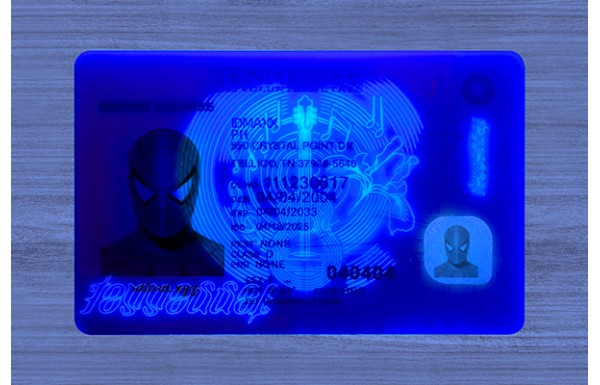 Tennessee Dirvers Licence (2025 version)