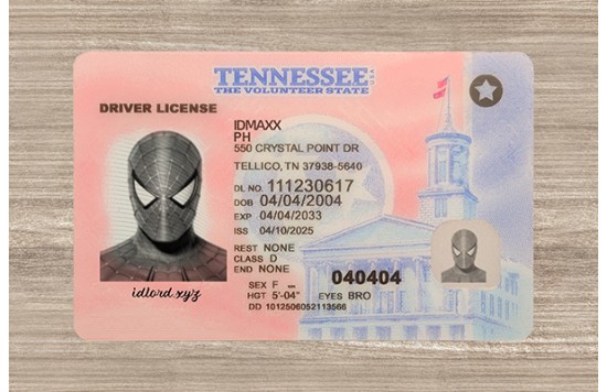 Tennessee Dirvers Licence (2025 version)