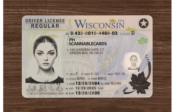 Wisconsin DL (2026 Version)