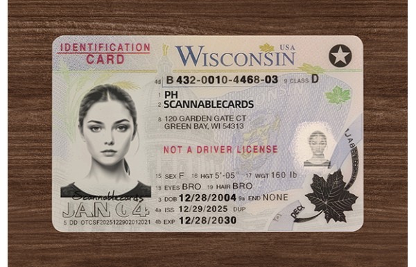 Wisconsin ID (2026 Version)