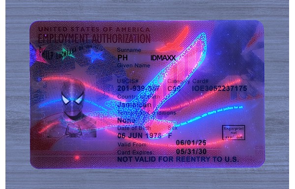Employment Authorization Card