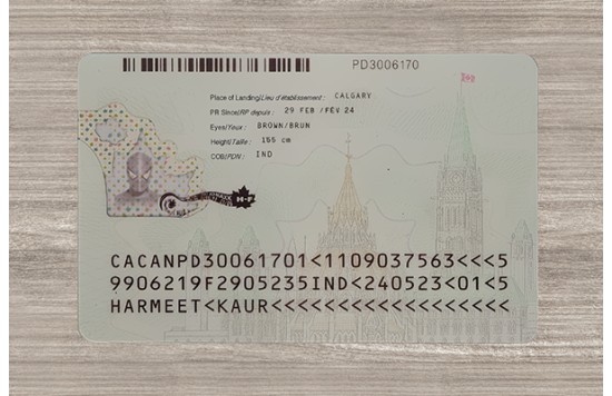 Canada PR (2025 Version)