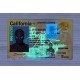 California Fake id front side