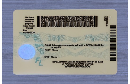 Florida Fake id front side