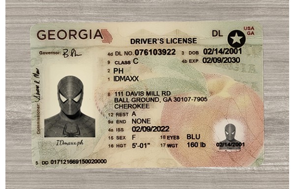Georgia IDs (2025 version)