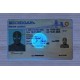 Michigan Fake id front side