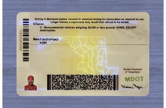 Maryland Fake id front side
