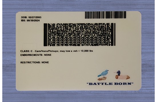 Nevada Fake id front side