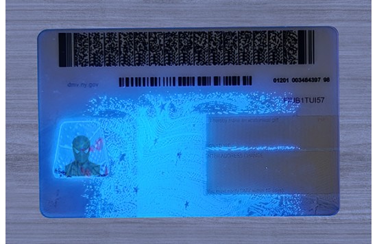 New York Fake id front side