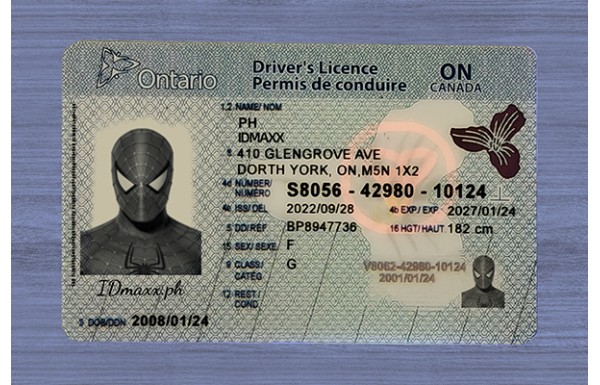 Ontario Dirvers Licence (2025 version)