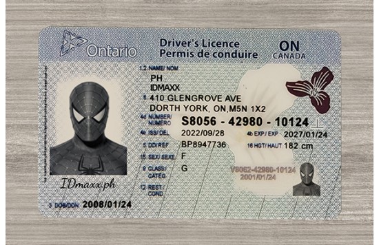 Ontario Fake id front side