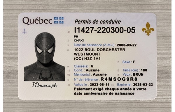 Quebec Dirvers Licence