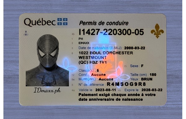 Quebec Dirvers Licence