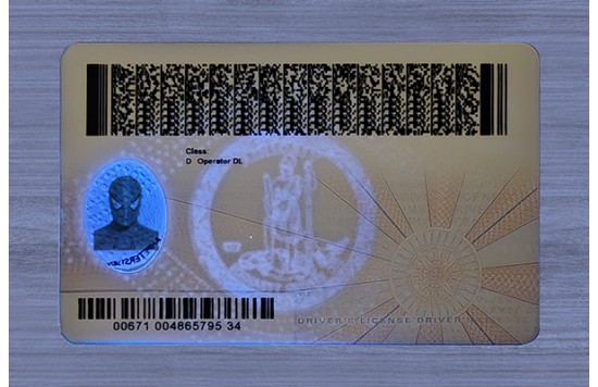 Virginia Fake id front side