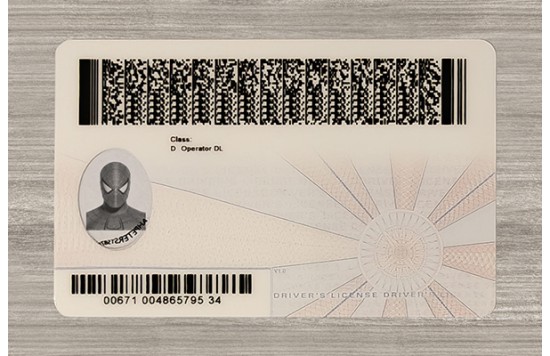 Virginia Fake id front side