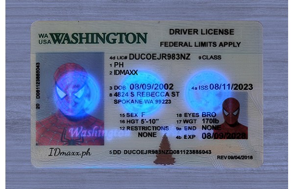 Washington Dirvers Licence