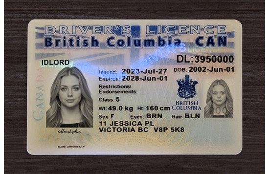 British Columbia Fake id front side