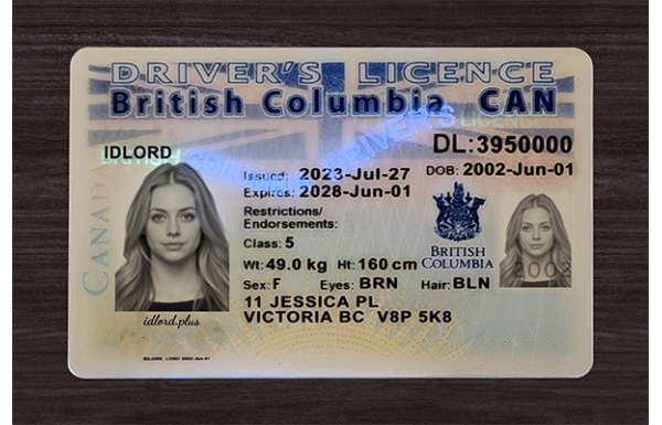British Columbia Fake IDs