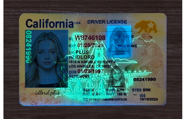 California Fake IDs