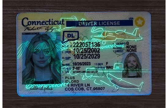 Connecticut Fake id front side