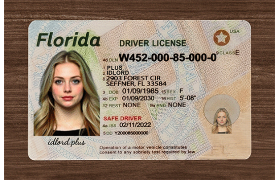 Florida Fake id front side
