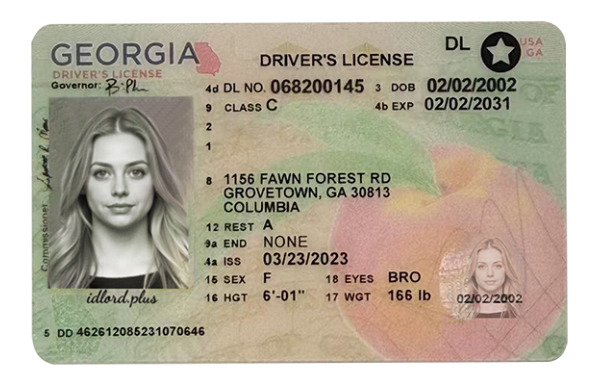 Georgia IDs (2025 version)