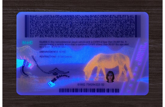 North Carolina IDs (2025 Version)