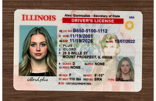 Illinois Fake id front side