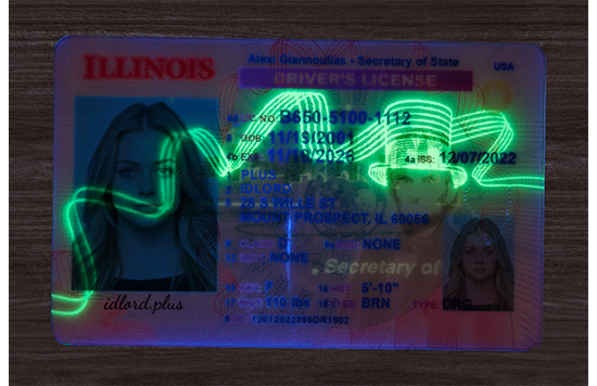 Illinois Fake id front side