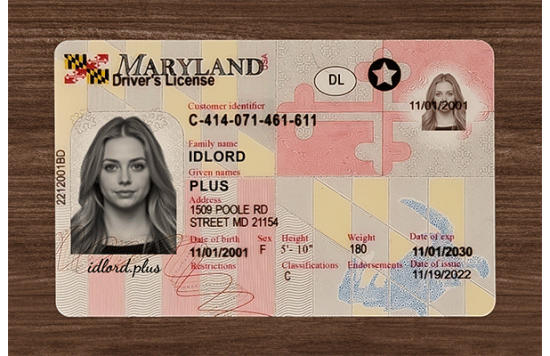 Maryland Fake id front side
