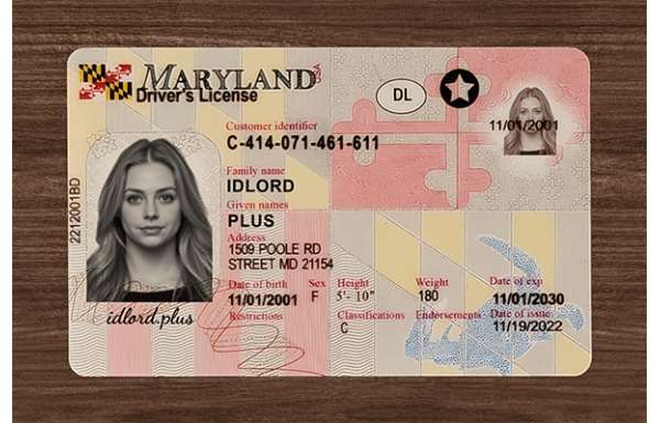 Maryland IDs