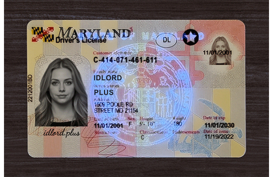 Maryland Fake id front side