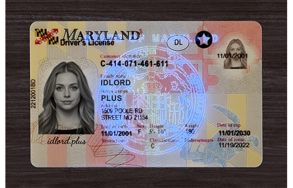 Maryland IDs