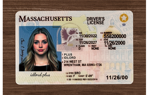 Massachusetts IDs
