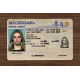 Michigan Fake id front side