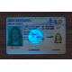 Michigan Fake id front side