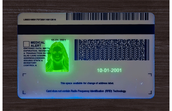 Michigan Fake id front side