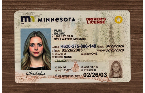Minnesota Fake id front side