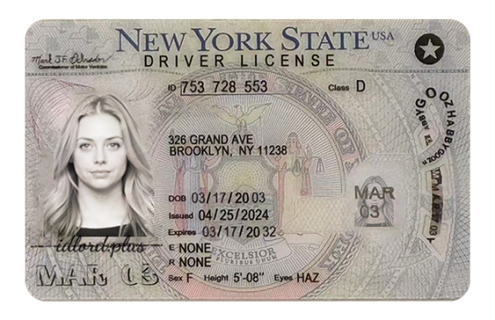 New York Dirvers Licence (2025 Version)